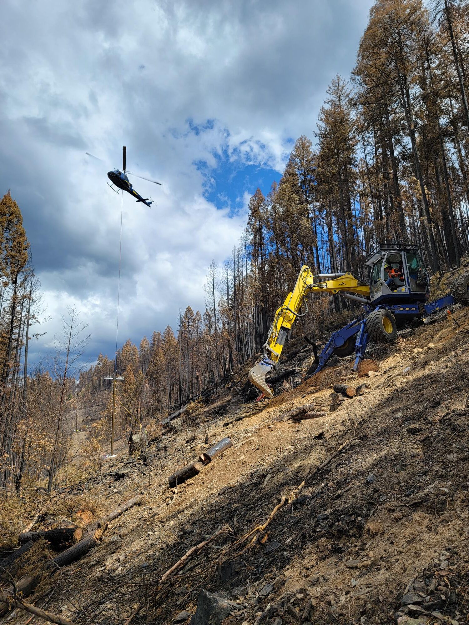 Spider Excavator