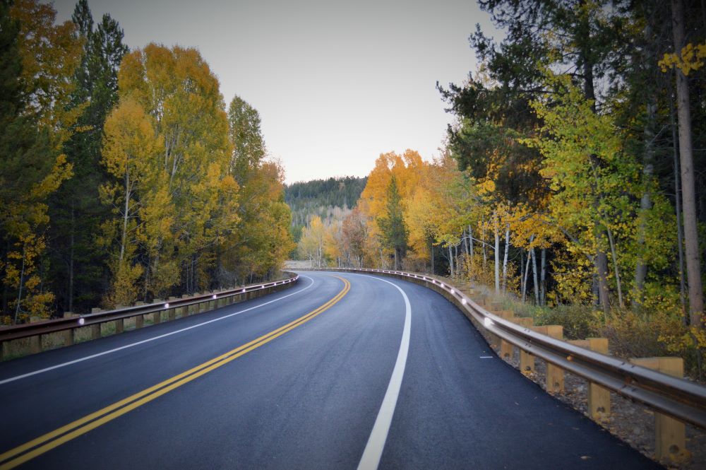 Guard Rail on Scenic Fall Drive