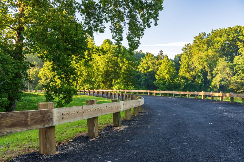 Timber Rail on Tree Lined Road